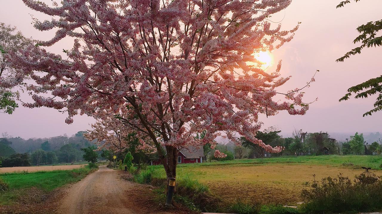 Romance - Another Story In Пай Экстерьер фото